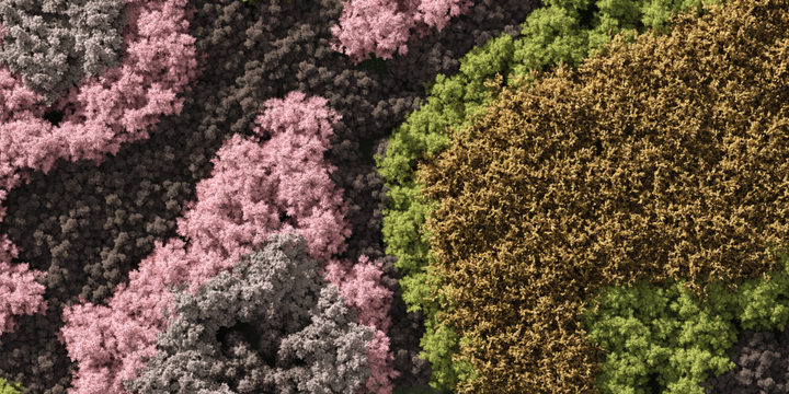 Spatial Florafluff Spatial Narratives